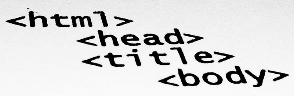 Teddyray.net Web Development