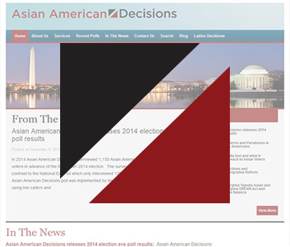Asian American Decisions Feature